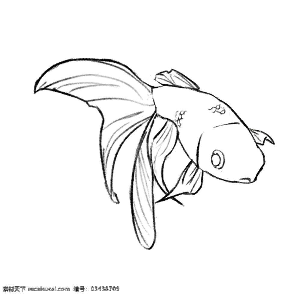 金鱼线稿 线稿 线稿练习 板绘线稿 金鱼 分层 动漫动画 动漫人物