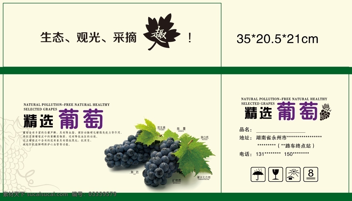 精选 葡萄 纸箱包装 精选葡萄 葡萄包装 生态 观光 采摘 包装设计