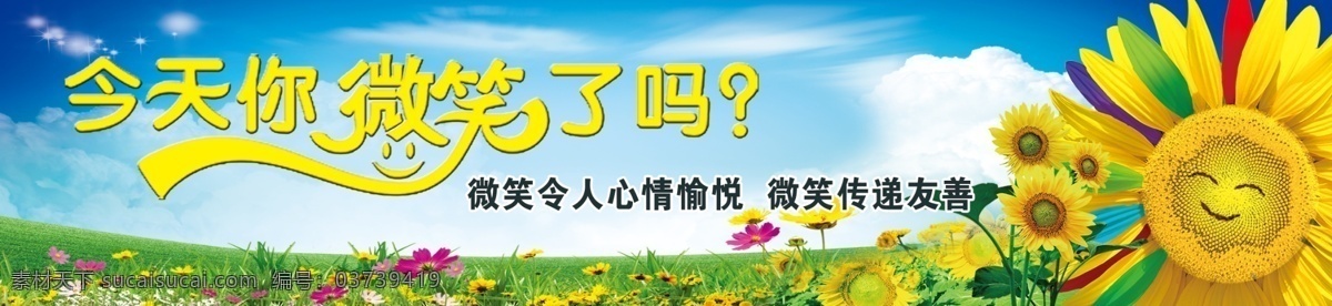 食堂文化 微笑 葵花 草坪 天空 艺术字 彩色葵花 向日葵 食堂餐饮文化 青色 天蓝色