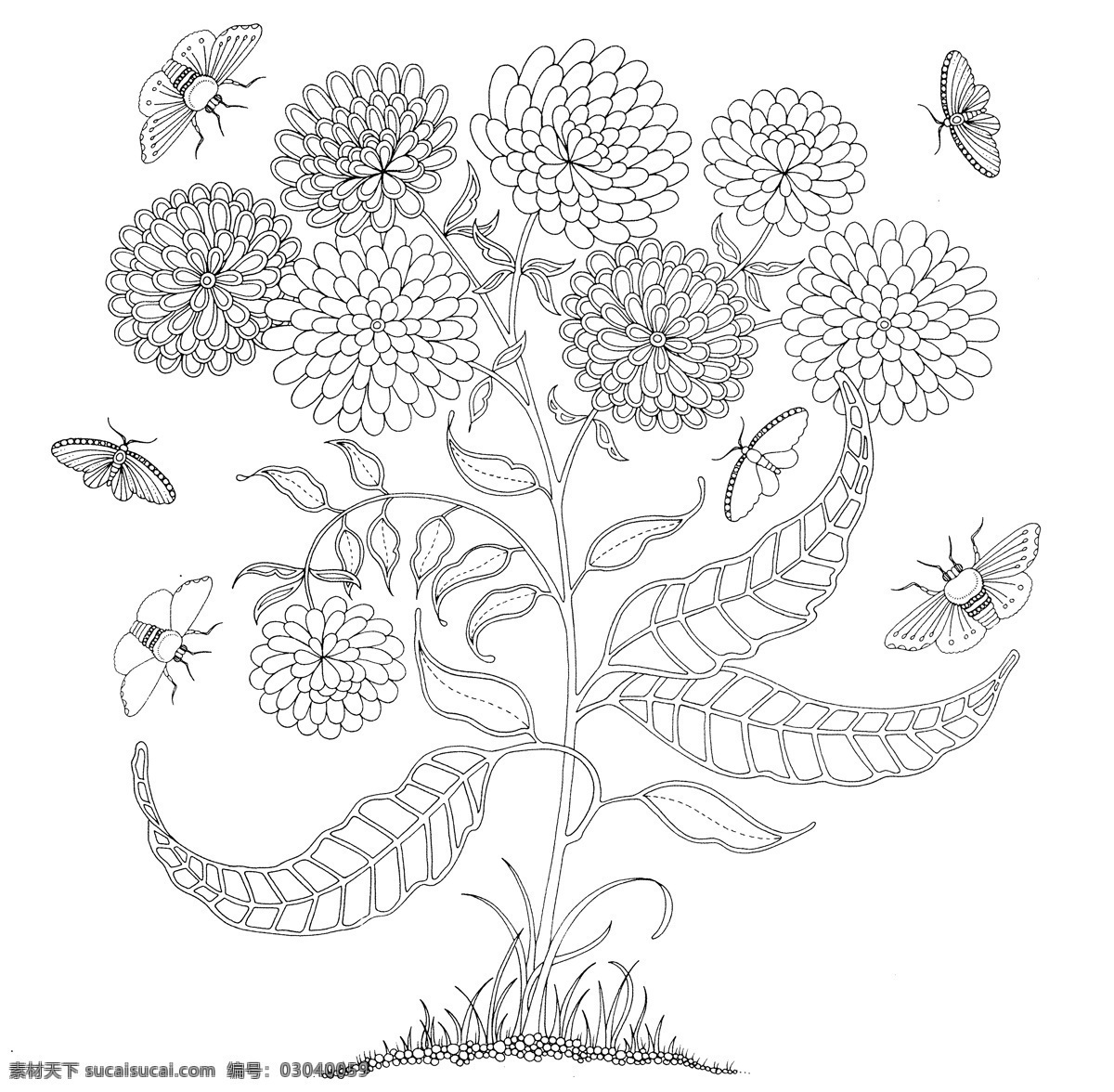秘密花园 手绘本 动植物图 素描图 秘密 黑白 文化艺术 绘画书法