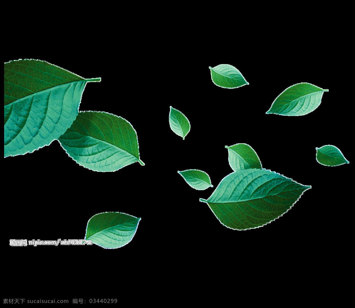 绿色 茶树 叶子 漂浮 元素 png元素 茶叶 免抠元素 透明元素 中国风