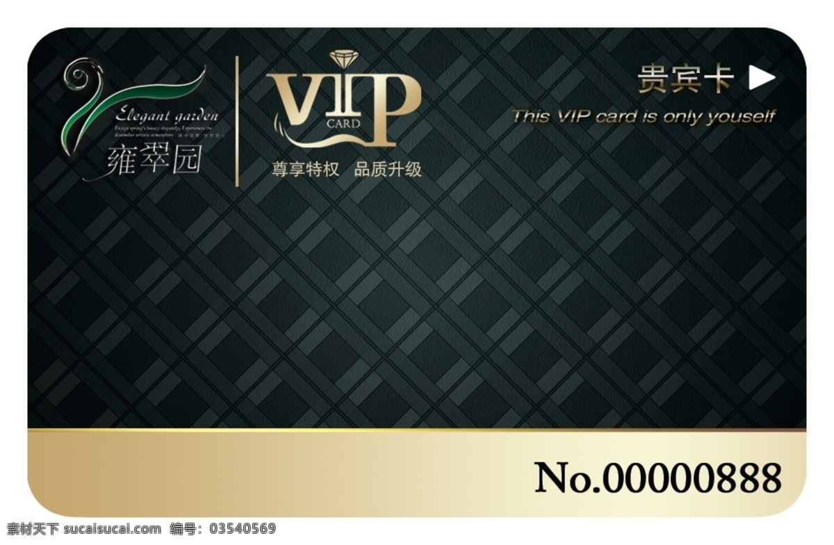 黑色 大气 vip 卡 模板 vip卡模板 vip会员卡 vip贵宾卡 卡片 ip卡 潮流vip卡 vip设计 时尚vip卡 ktv贵宾卡 精品vip卡 夜总会 酒吧vip卡 黑金