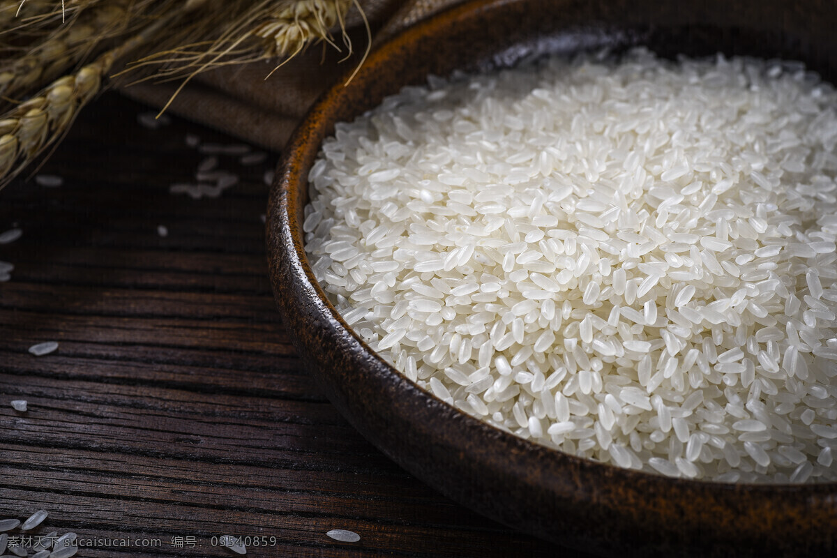 洁白的大米 营养 有机 健康 洁白 大米 米粒 餐饮美食 食物原料