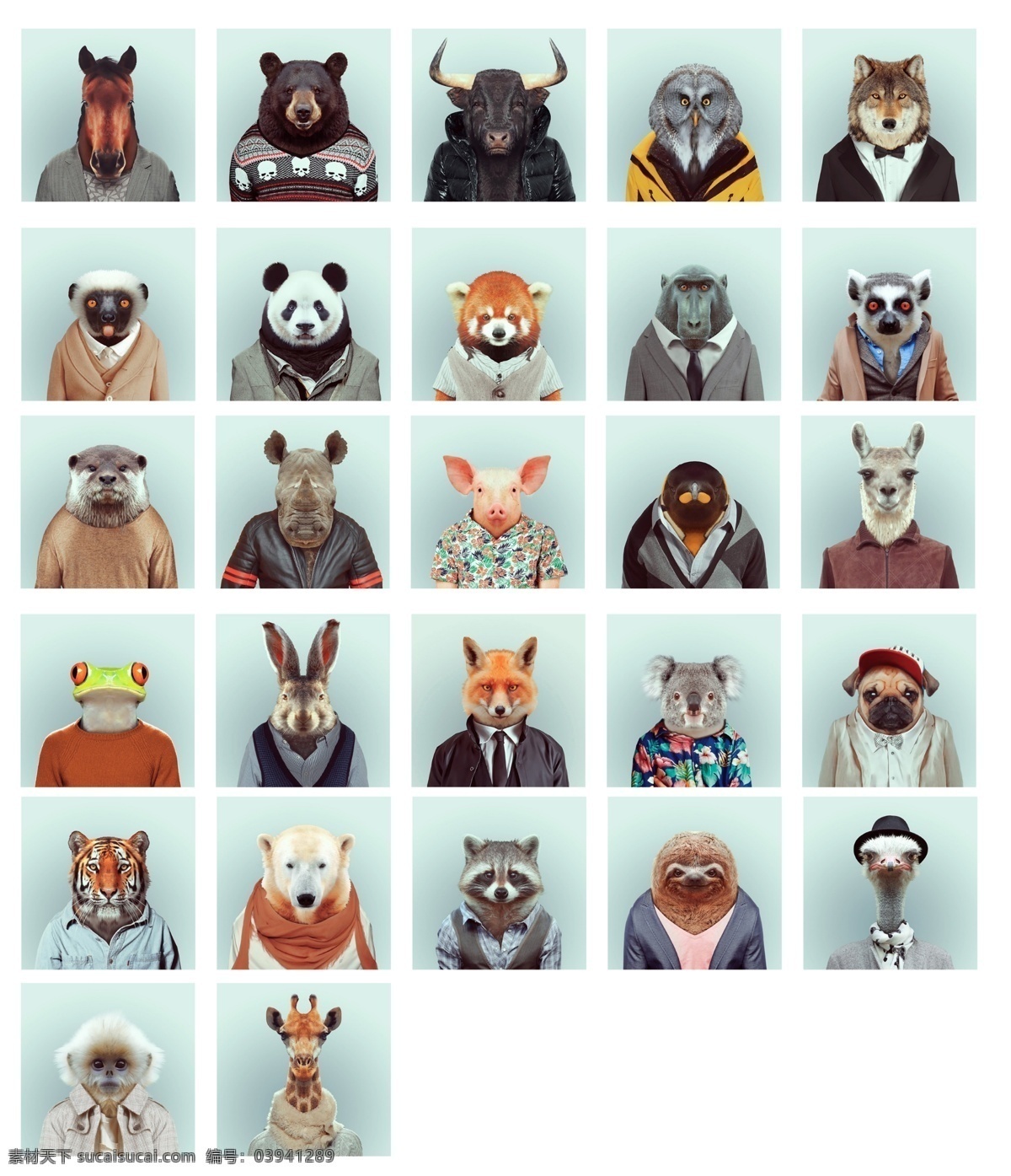 十二生肖 动物证件照 西装服 时尚动物 动物系列 动漫动画 动漫人物