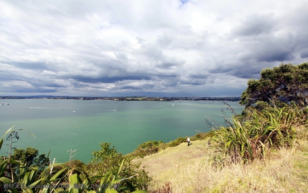 新西兰 海滨 风景 天空 阴云 远山 大海 海水 山坡 绿树 草地 自然景观 山水风景