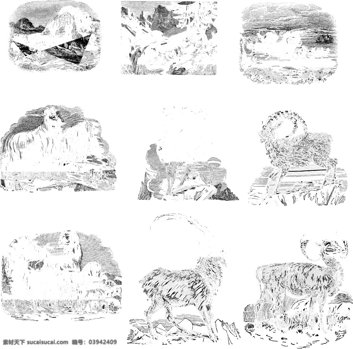 哺乳类 欧美 古典 线条 矢量 动物 库 欧洲古典素材 矢量素材 素描素材 线条素材 非 主流 矢量图 其他矢量图