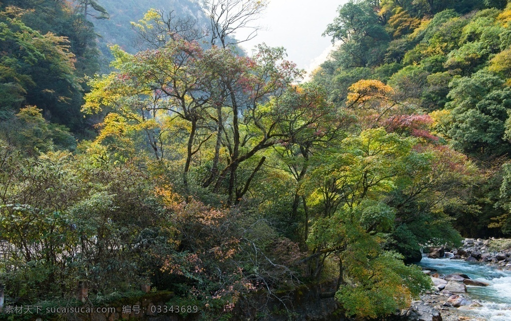 东拉山 风景 高原 阳光 彩林 红叶 秋天 照片 自然景观 山水风景