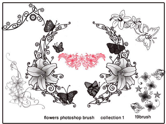 abr photoshop 笔刷 分层 ps 蝴蝶 花边 花朵 花卉 花纹 高清晰 矢量 装饰 合集 源文件 psd源文件