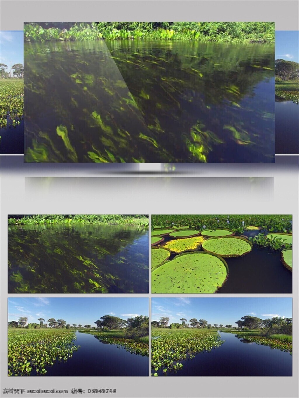 绿色 水下 植物 视频 音效 视频素材 清澈 唯美 清雅 树木 视频音效 公园景色