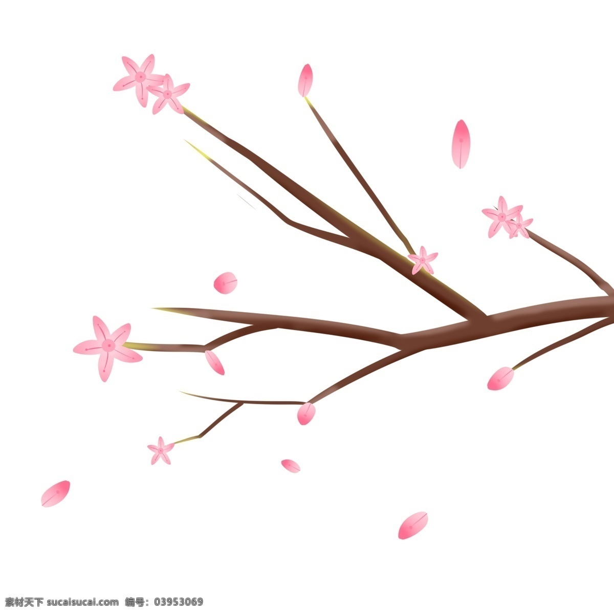 粉色 花朵 花枝 插画 树枝樱花花枝 粉色花朵花枝 植物装饰花枝 春天花枝 花朵树枝插画 春天 樱花