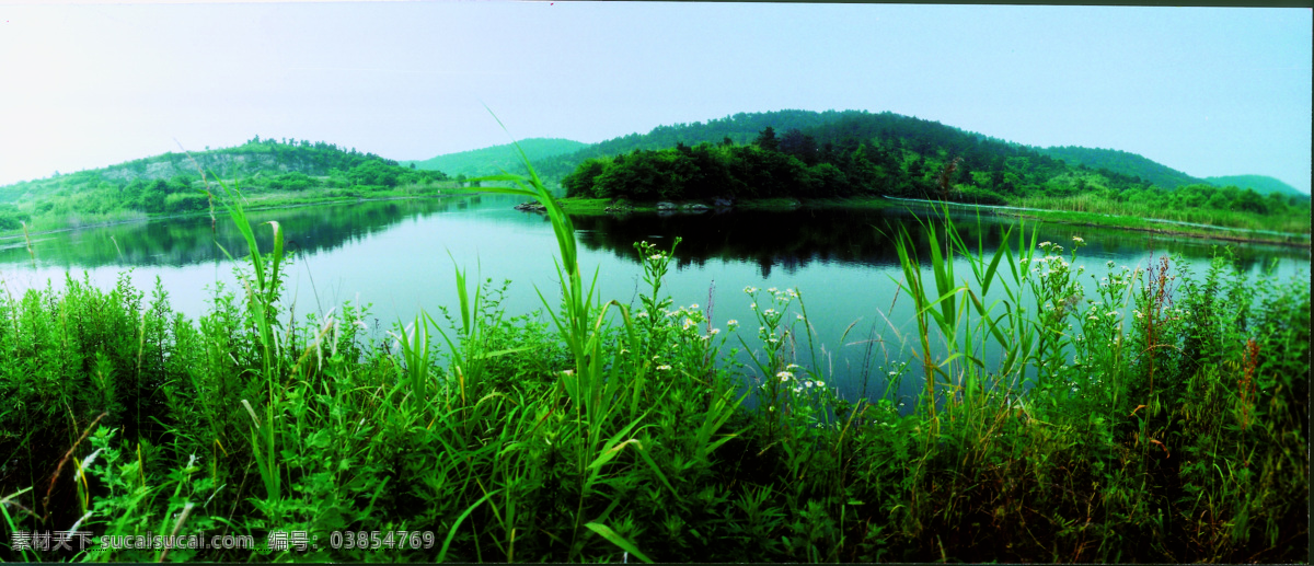 树免费下载 风景 山 山水风景 摄影图 树 植物 自然景观 水 家居装饰素材 山水风景画