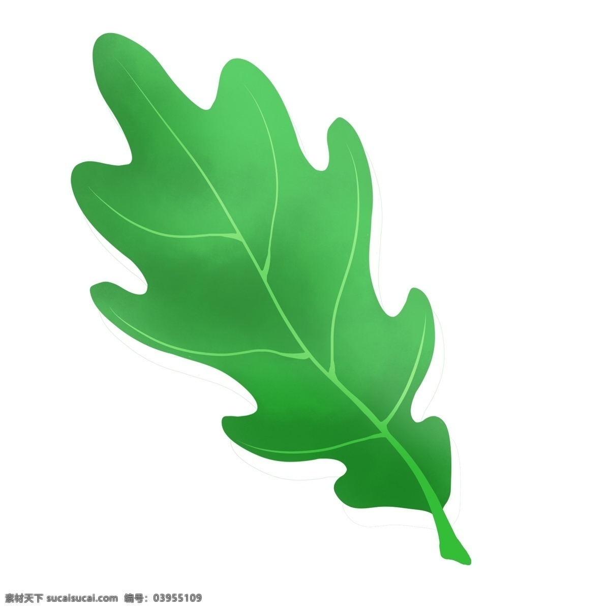 片 嫩绿色 叶子 插画 植物 花叶 花朵 植物叶子插图 一片叶子 嫩绿色叶子 绿色植物叶子