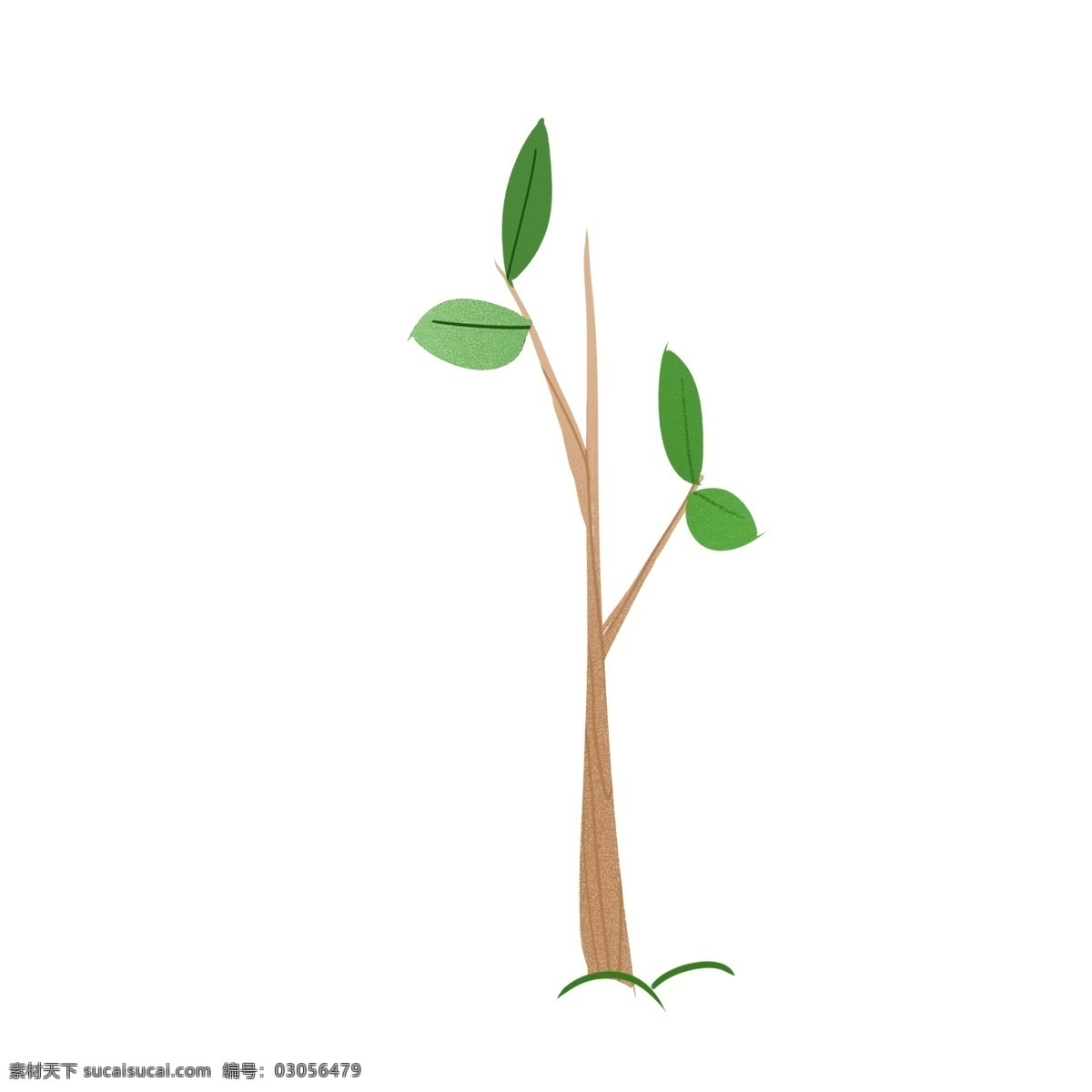 绿色 清新 小 树苗 卡通 手绘 植物 树木 绿叶 插画