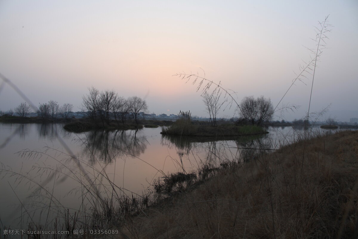 汉江湿地公园 汉中 汉江 湿地 公园 冬景 自然景观 田园风光
