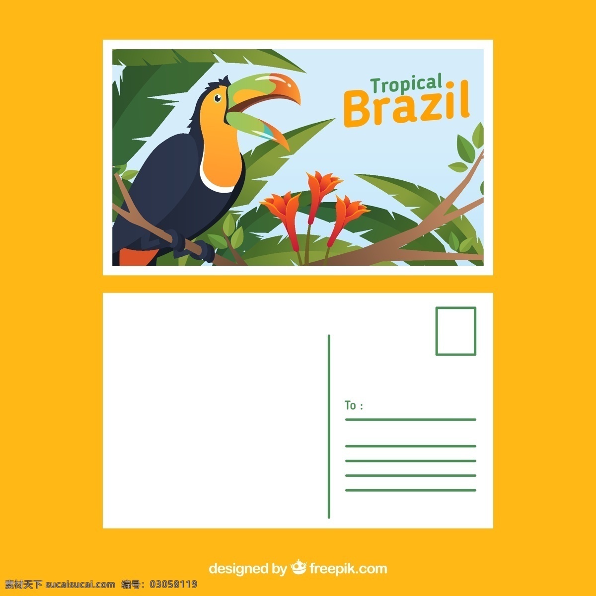 创意 巴西 巨 嘴 鸟 明信片 正反面 巨嘴鸟 棕榈树叶 热带 树枝 文化艺术 节日庆祝