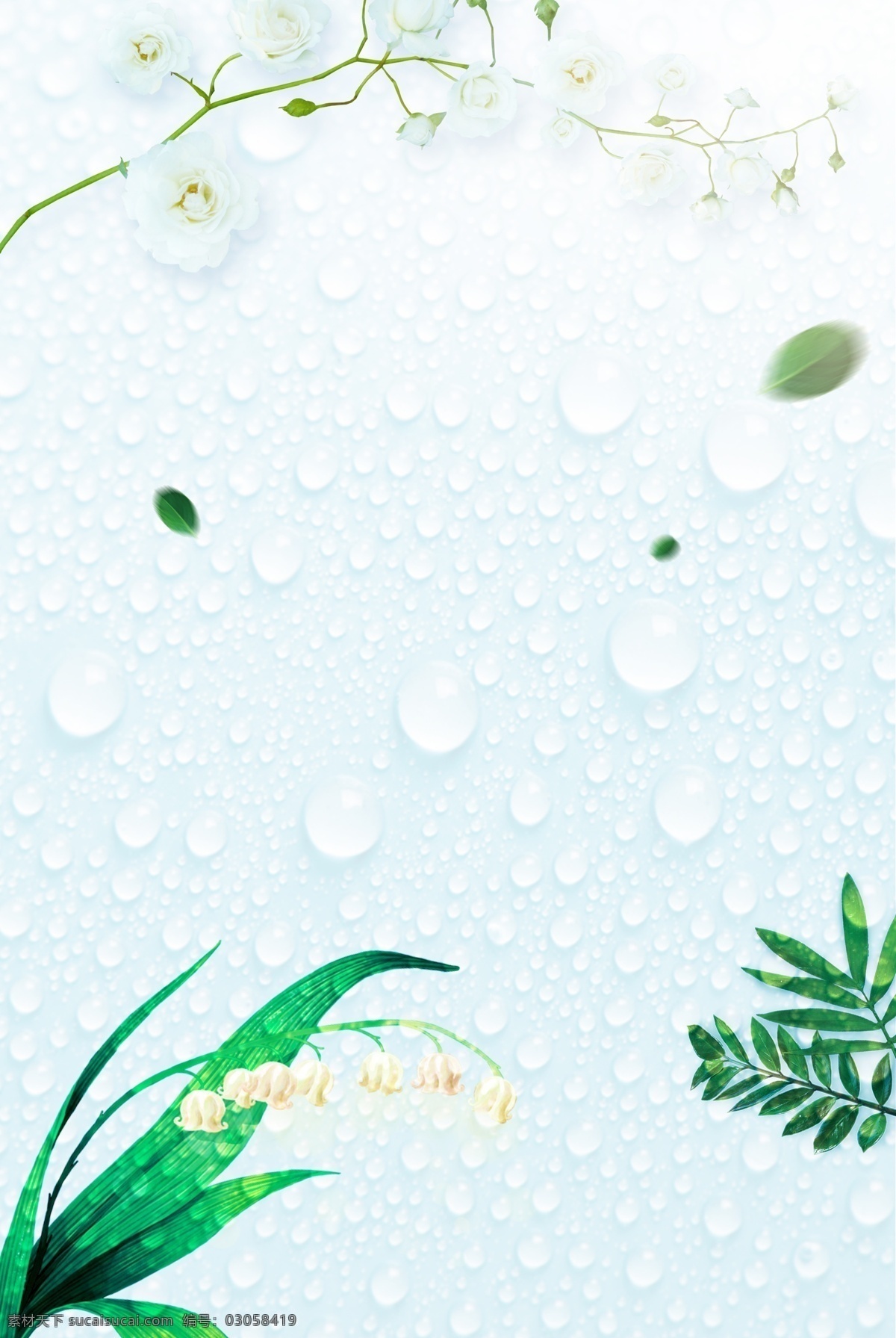 白露 二十四节气 清新 绿植 水珠 海报 传统 习俗 文艺 绿色植物