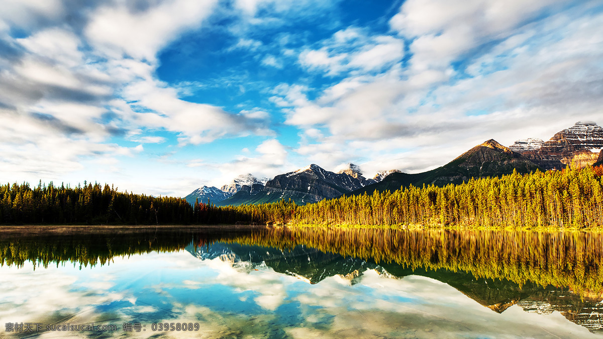 自然景观 自然风光 大自然风景 风景 风景图片 风景壁纸 大自然 蓝天白云 电脑壁纸 创意图片 美景 美景图片 美景壁纸 旅游风景 风景名胜 植物 绿色植物 婚庆图片 婚庆背景 草原 大草原 草原风景 草地 唯美风景