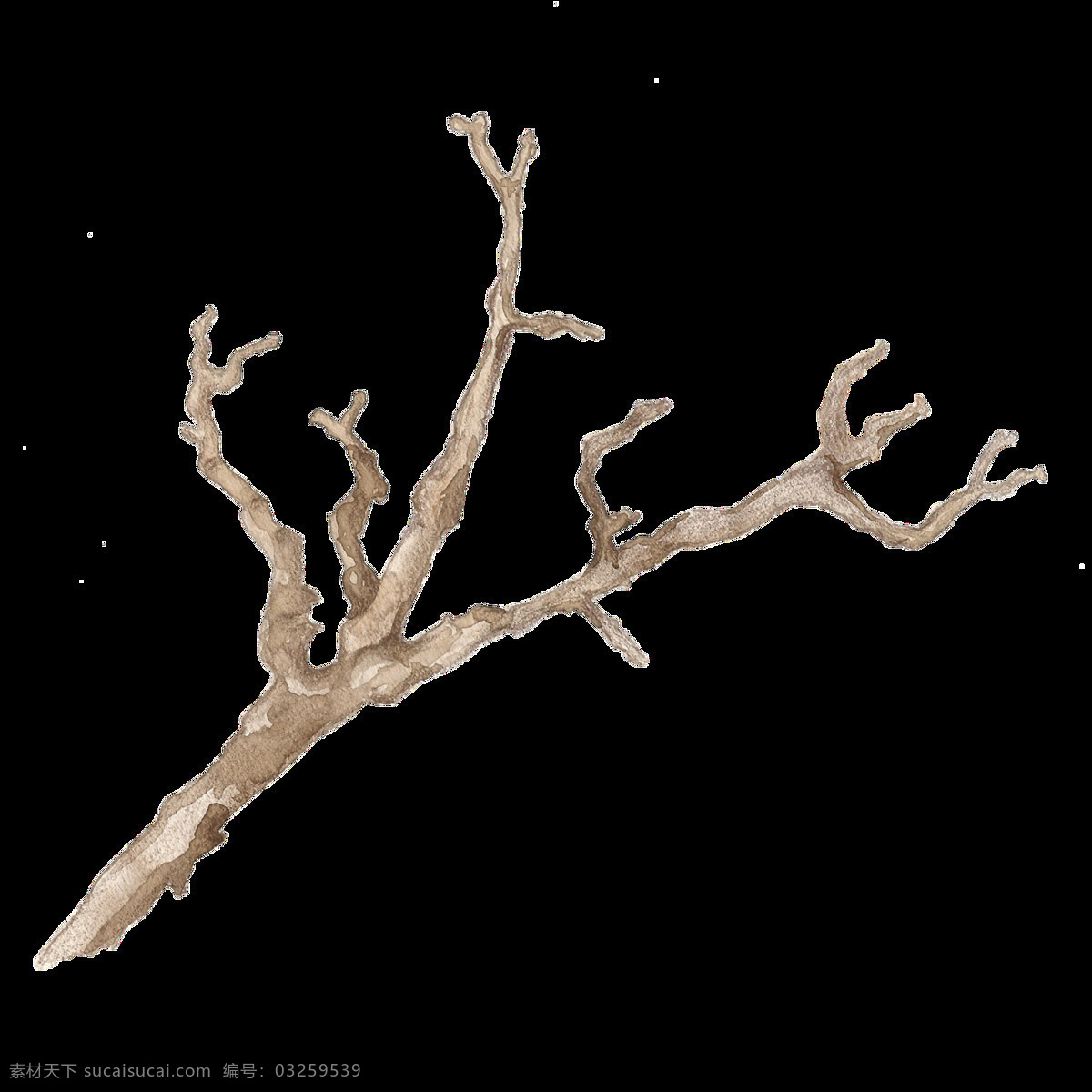 枯萎 免扣素材 水彩 透明素材 渲染 植物 装饰图案 棕色 手绘 一根 树枝 透明
