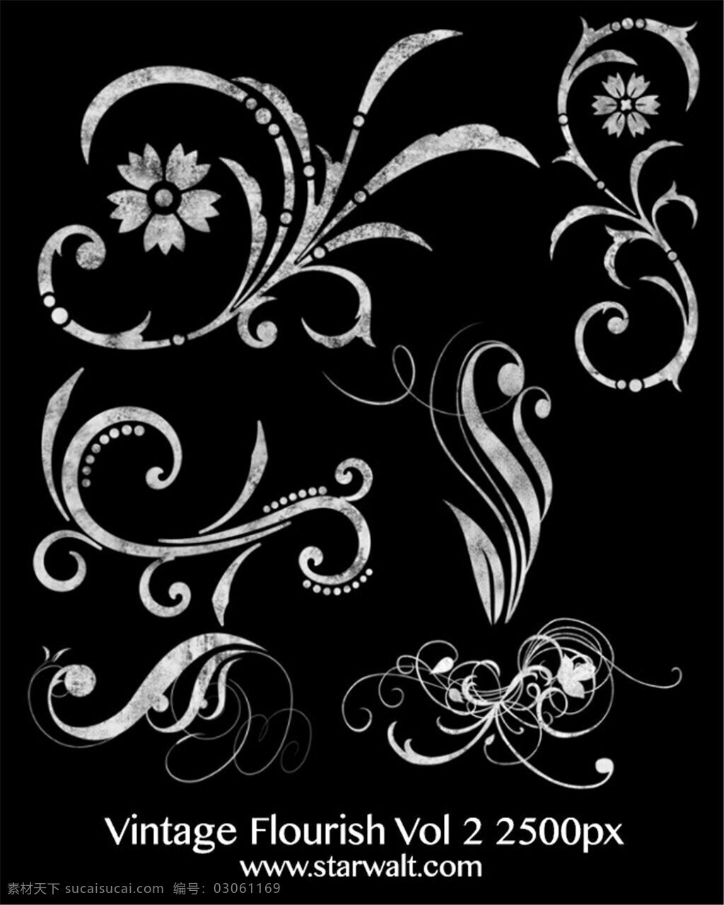 复古 手绘 花纹 装饰 ps 笔刷 黑白 素雅 黑色