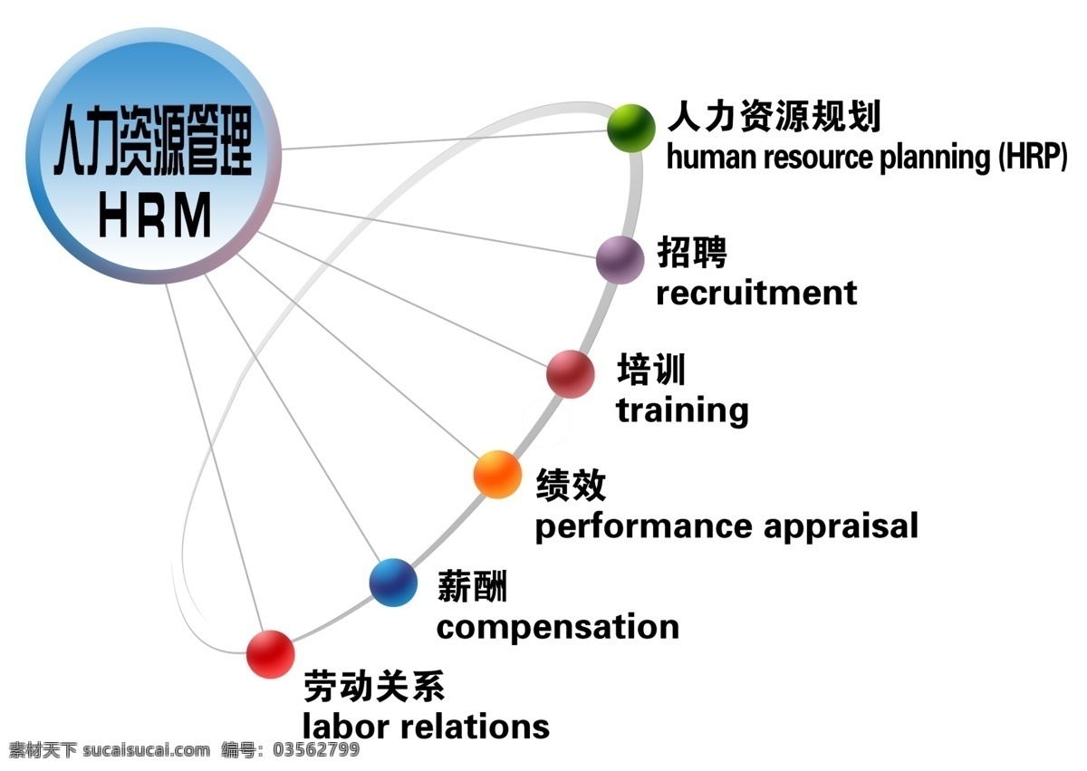 人力 管理 分支 图 展板 分支图 球形 圆弧 蓝色 渐变 展板模板 广告设计模板 源文件