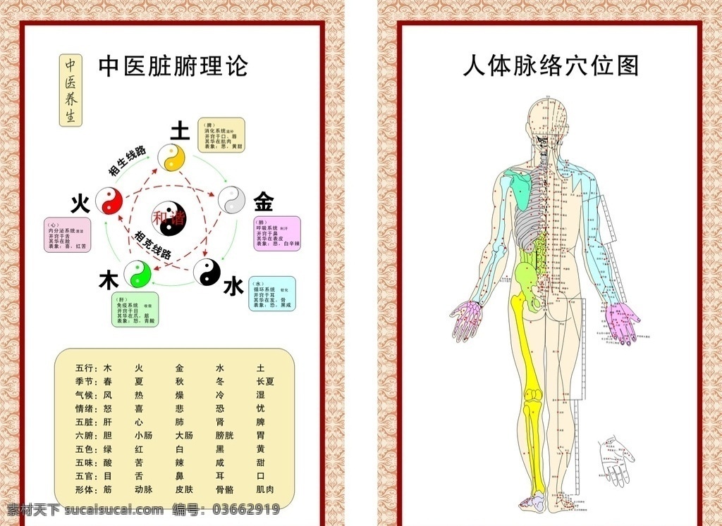 人 休 经络 穴位 图 人体 组成背景 人休经络 穴位图 经脉 人休脉络 展板模板