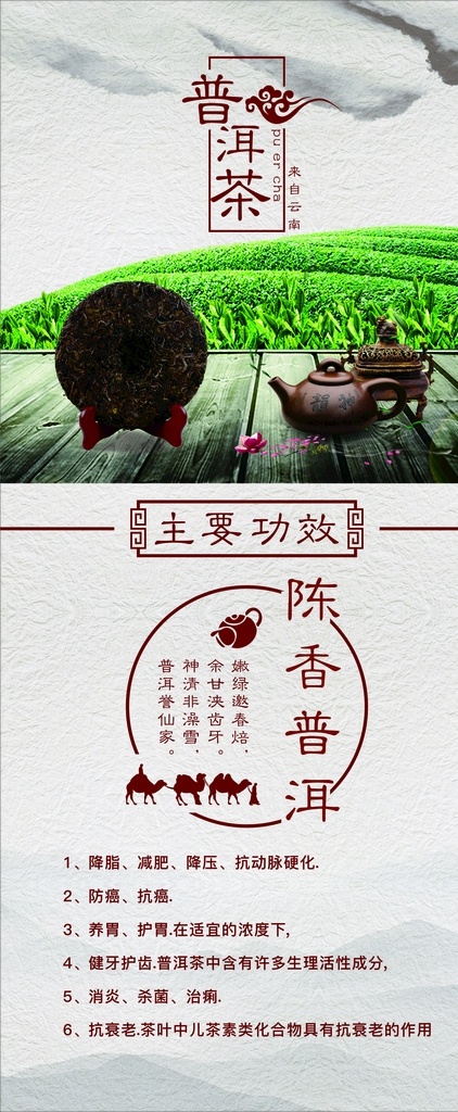 普洱茶展架 普洱茶 普洱 茶 茶叶 绿茶 绿色茶 天然