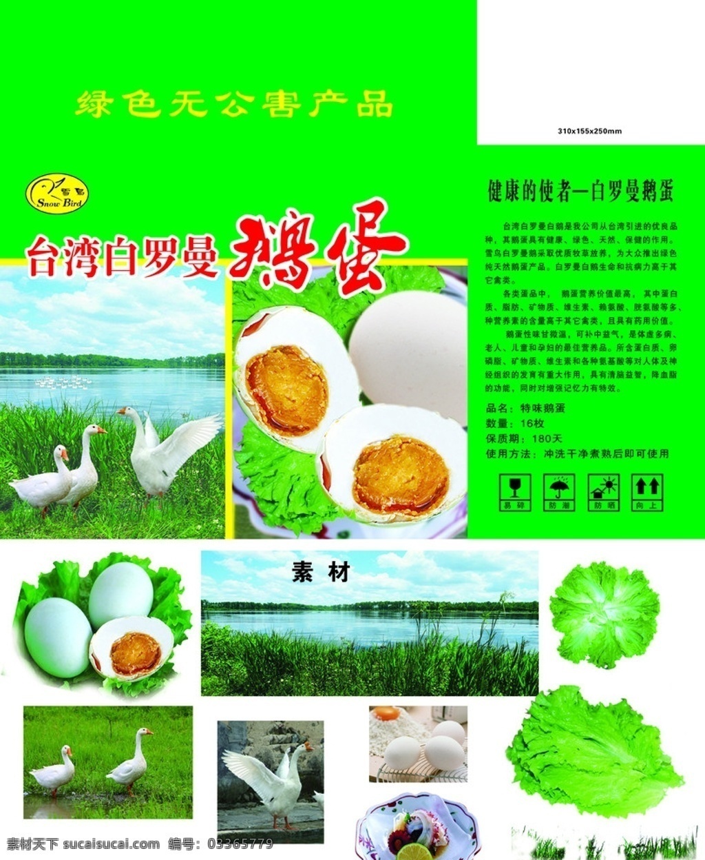 鹅蛋包装设计 包装箱 包装展开图 鹅 家鹅 鹅蛋 生菜叶 生菜 白菜 白菜叶 盘子 鸡蛋 咸蛋 湖 天鹅湖 绿色背景 扇翅膀的鹅 蓝天 蓝天白云 包装设计 广告设计模板 源文件