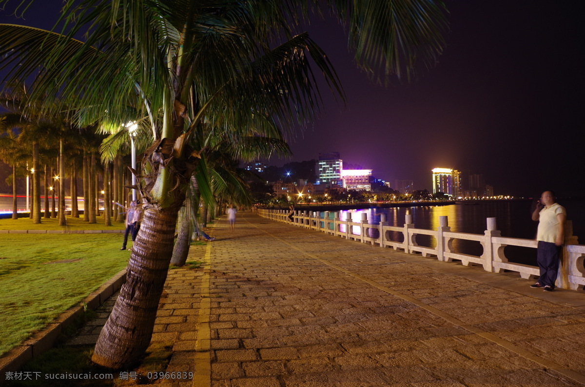 棕榈树 海边 海景 旅游摄影 人文景观 夜晚 步道 风景 生活 旅游餐饮