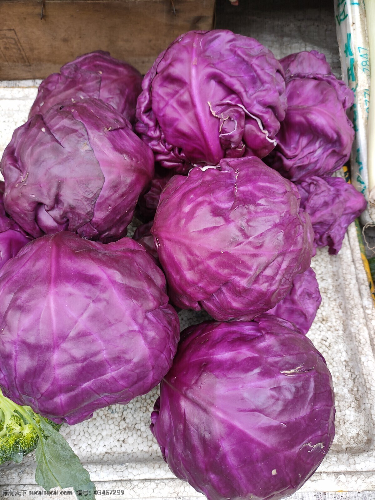 紫甘蓝 蔬菜 新鲜 食品 绿色 农业 青菜 植物 素食 维生素 有机蔬菜 菜叶 瓜 蛋 鸡蛋 菜市场 肉 菜地 菜园 生物世界