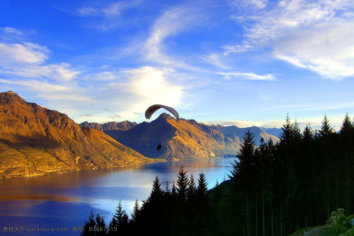 新西兰南岛 摄影艺术 高清晰 飞翔 大海 海水 海滩 海岛 树林 蓝天 白云 摄影图库 自然风景 自然景观