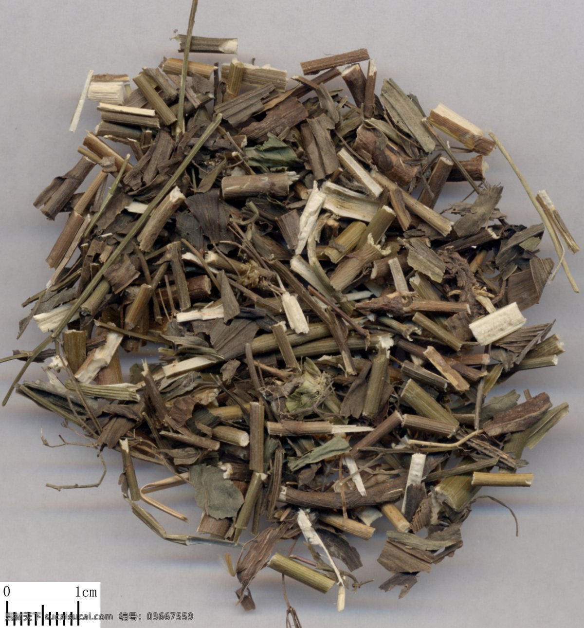药材柴胡 柴胡 药材 草本 中医 中药 植物 经络 保健 养生 生活百科