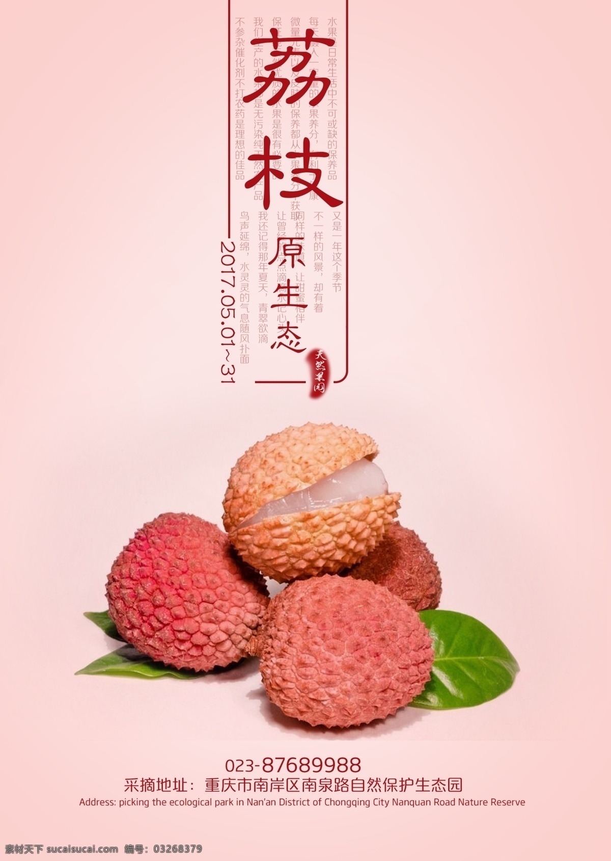 荔枝 天然水果 水果 粉色底图 纯天然 绿色食品 采摘 门店广告
