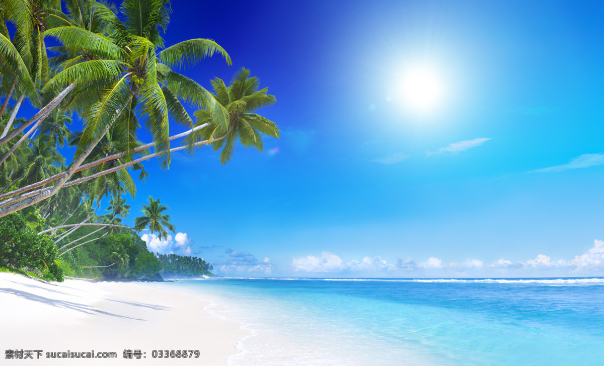 海边 美景 大海 海浪 浪花 海景 太阳 蓝天 白云 椰子树 大海图片 风景图片