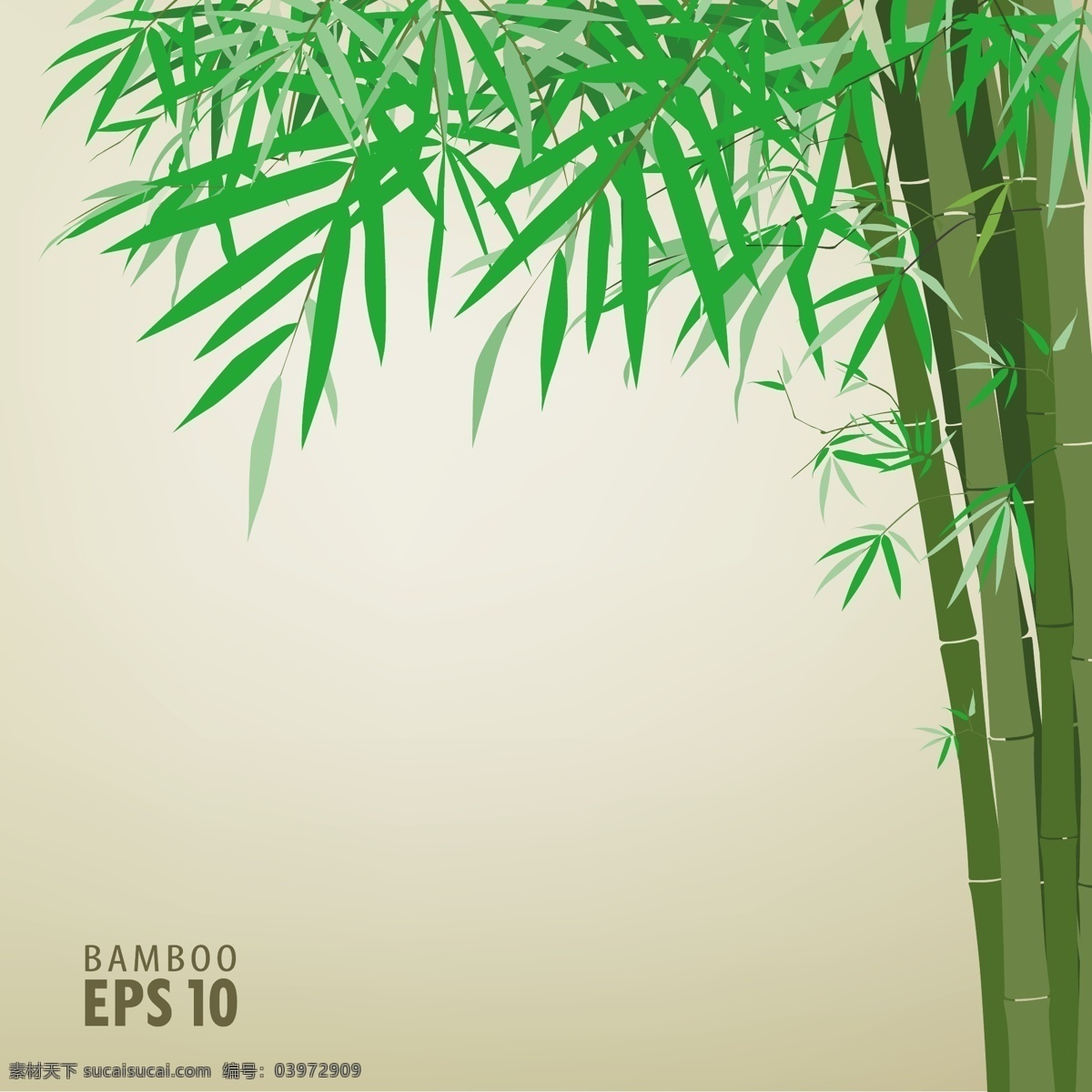 绿竹 背景 文本 模板 矢量 绿色 植物 竹叶 anmin 矢量图 其他矢量图