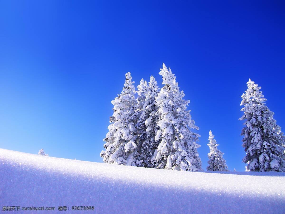 冰雪 雕饰 冬天 冬天背景 风景 生活 旅游餐饮