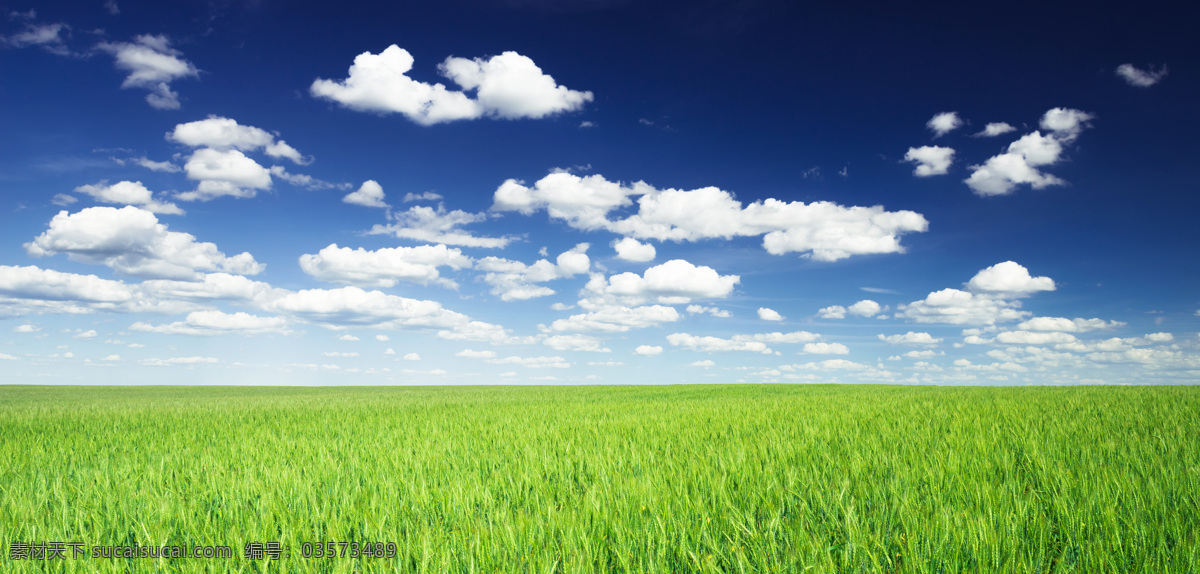 麦田 麦地 自然 自然风光 大自然 自然景观 野外 田野 天空 蓝天白云 农业生产 现代科技