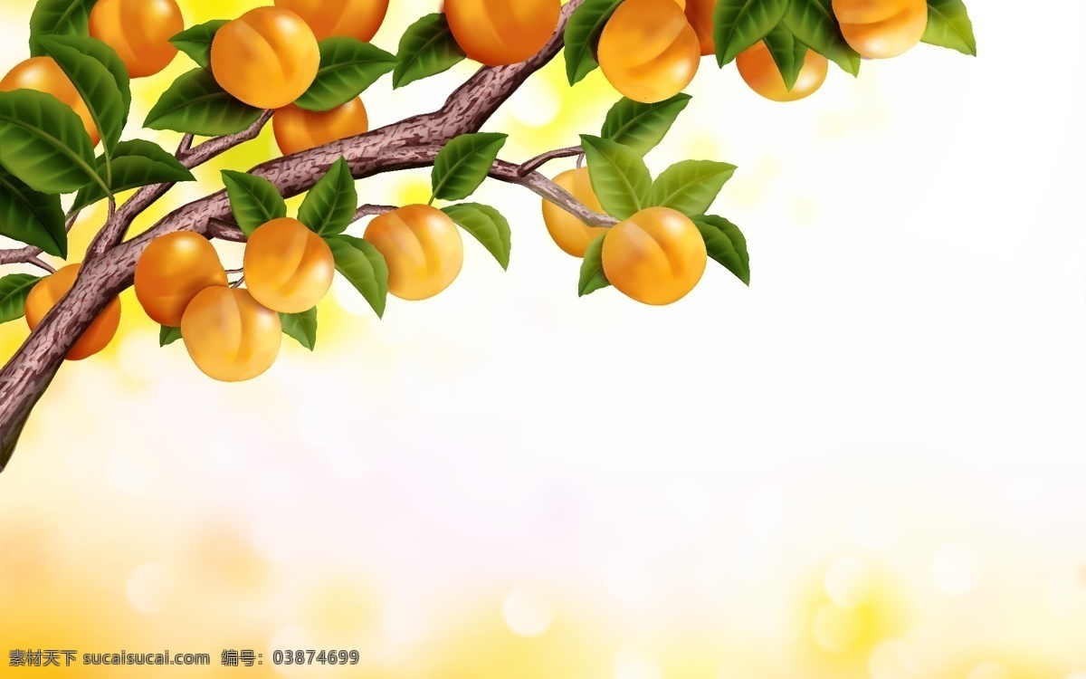长满 杏子 果树 卡通 水果 植物