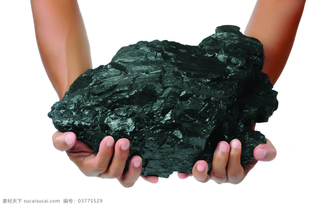 双手 捧 煤炭 煤 煤矿 煤块 矿石 其他类别 生活百科