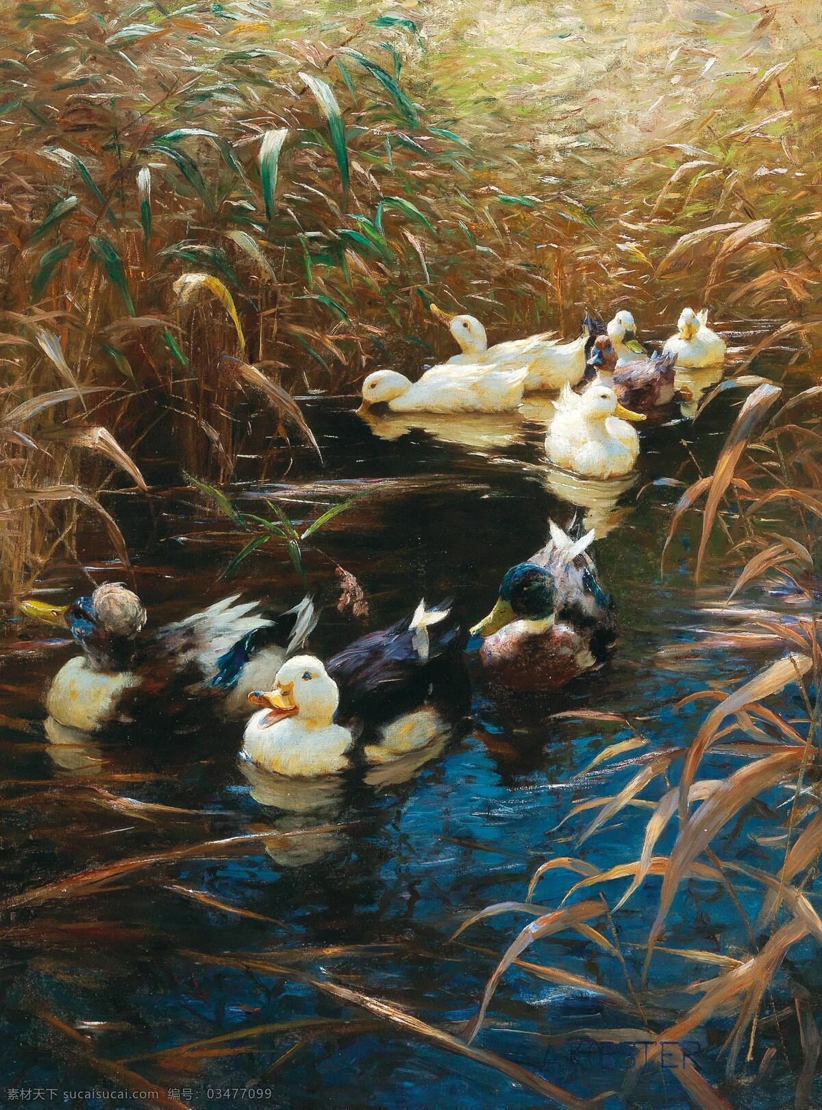 亚历山大 科斯特 作品 德国画家 池塘 芦苇 群鸭 戏水 19世纪油画 油画 文化艺术 绘画书法