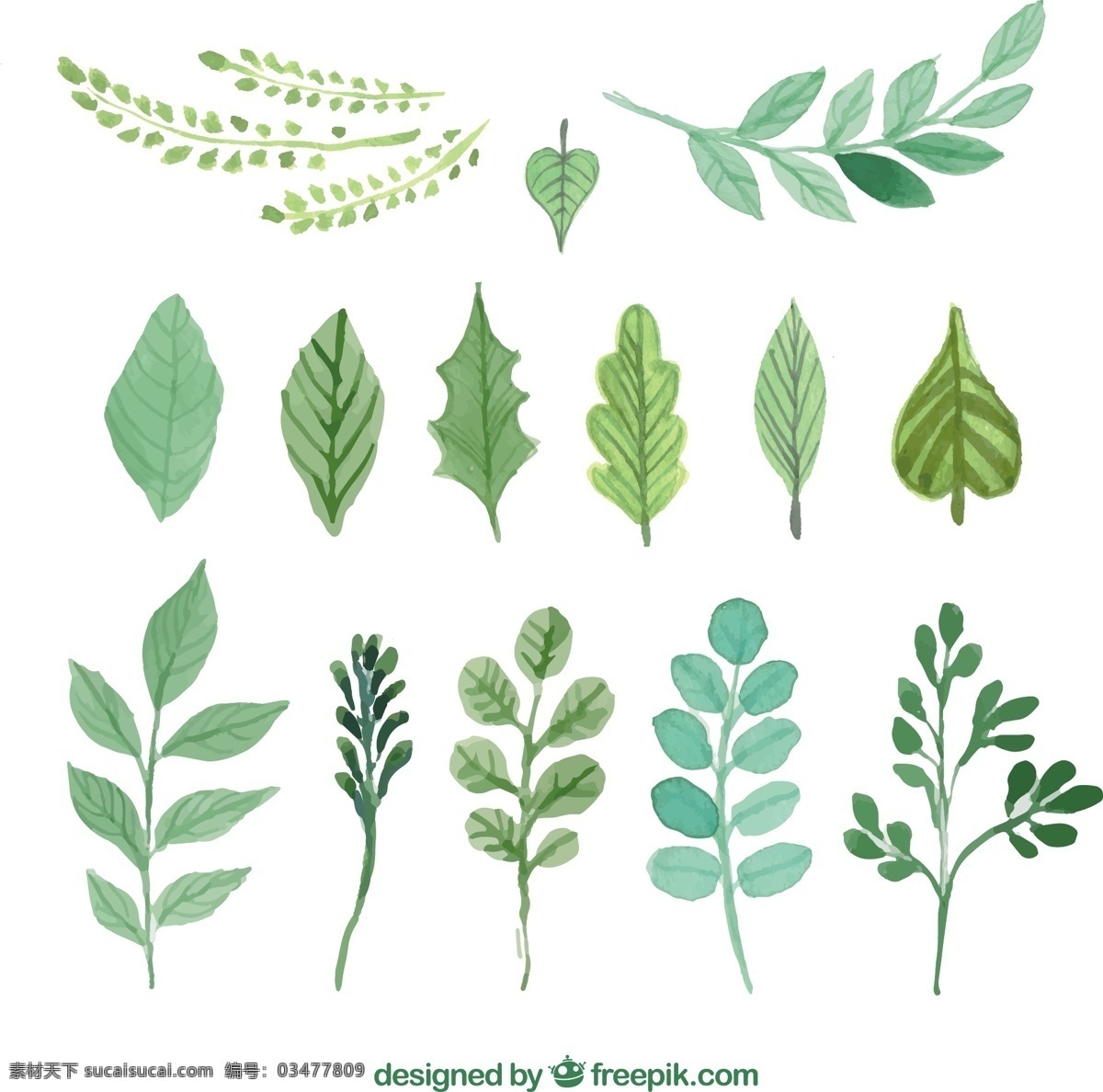 手绘绿叶 自然 绿色 油漆 树叶 植物 草本植物 彩绘 植被 图标 高清 源文件