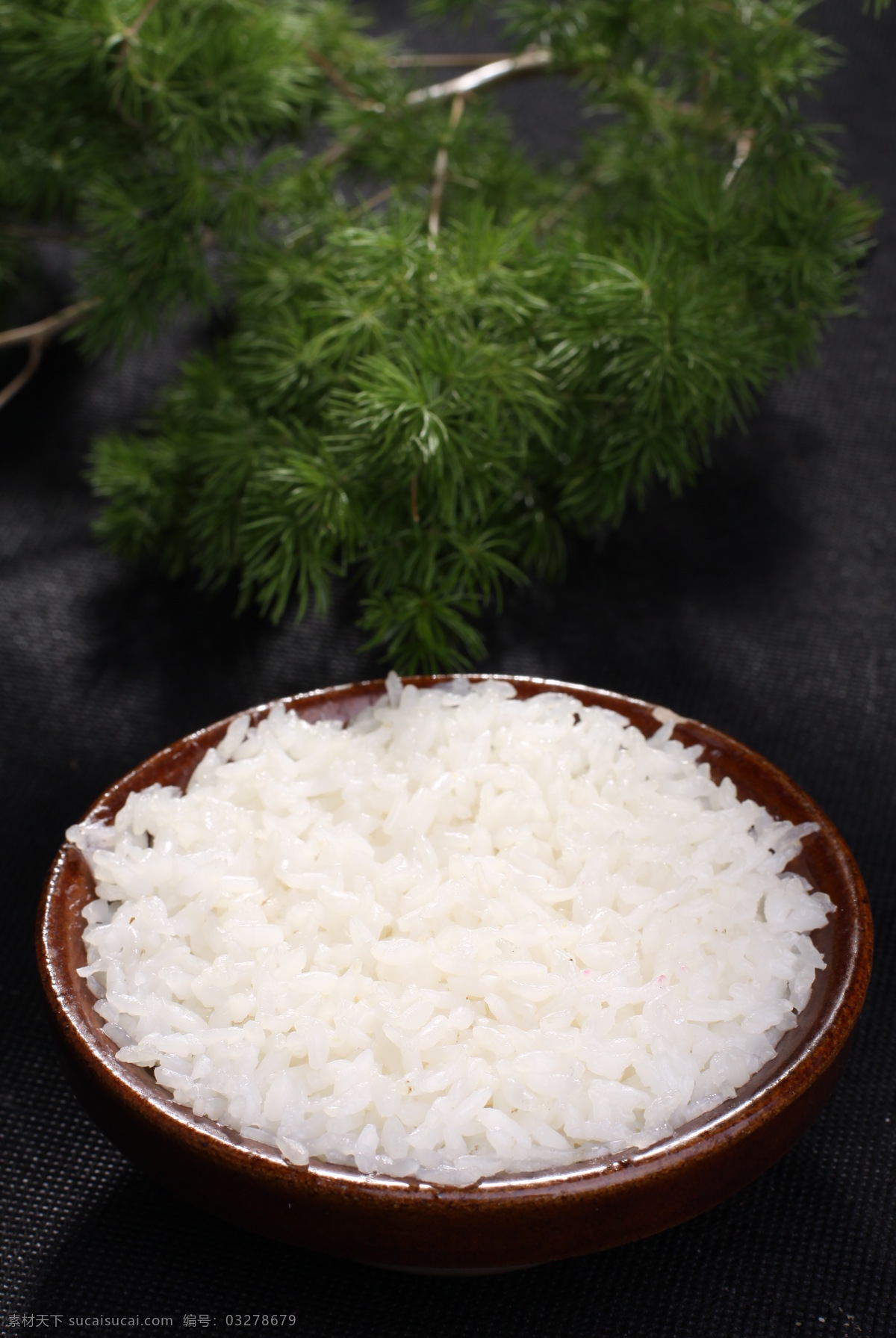 砂锅米饭 砂锅 米饭 面食 面点 点心 小吃 主食 菜品图 餐饮美食 传统美食