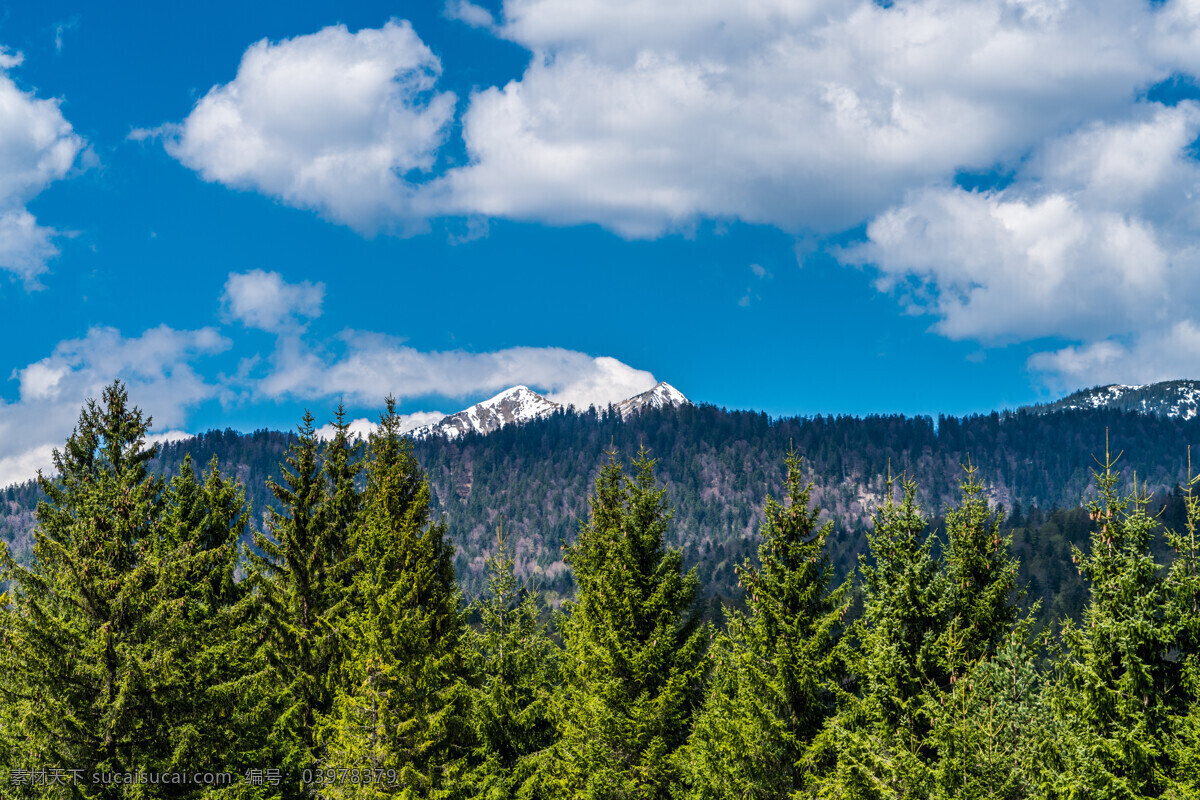 山顶风景