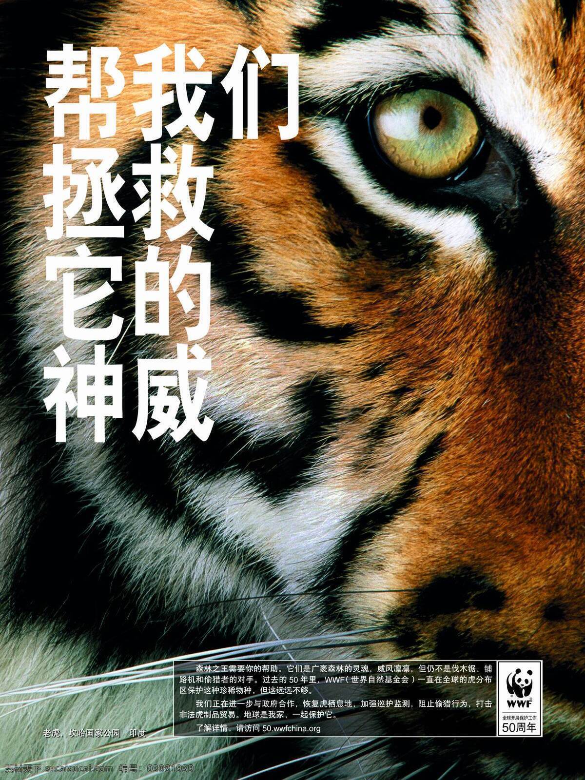 wwf 周年 系列 保护 老虎 招贴设计 海报 其他海报设计