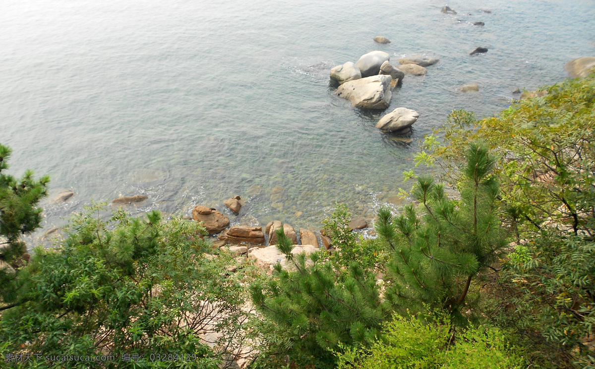 青岛 青岛崂山 风景 自然风景 山水 风光摄影 旅游 植物 景点 岸边 岩石 旅游摄影