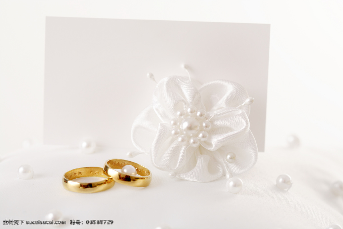 婚礼 时刻 结婚 物品 浪漫 唯美 白色花朵 戒指 对戒 珍珠 婚礼图片 生活百科