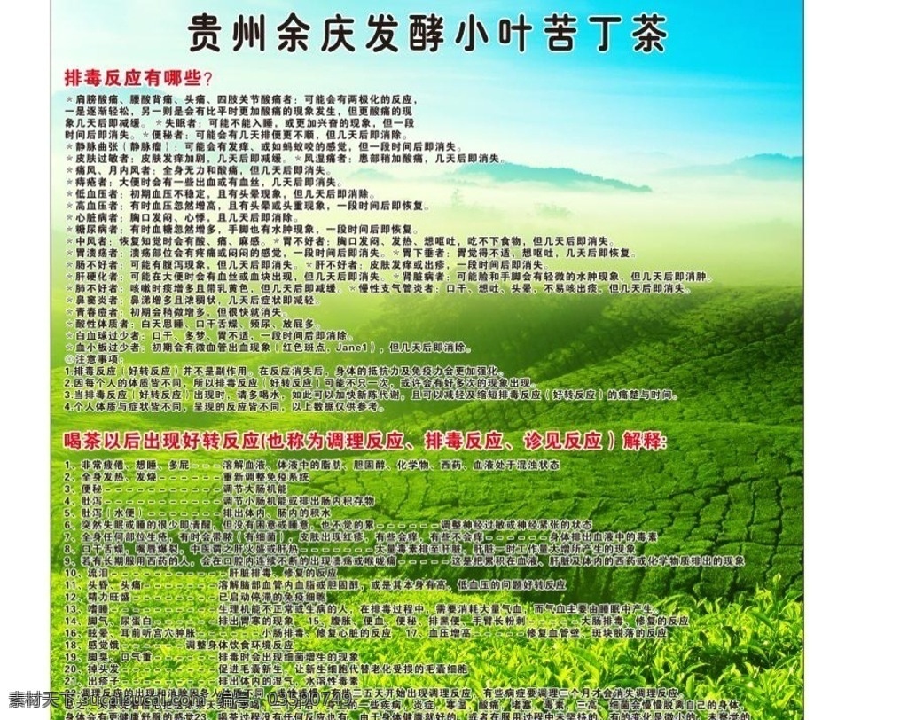 茶背景 茶海报 苦丁茶 简介 绿色背景 蓝天白云 海报