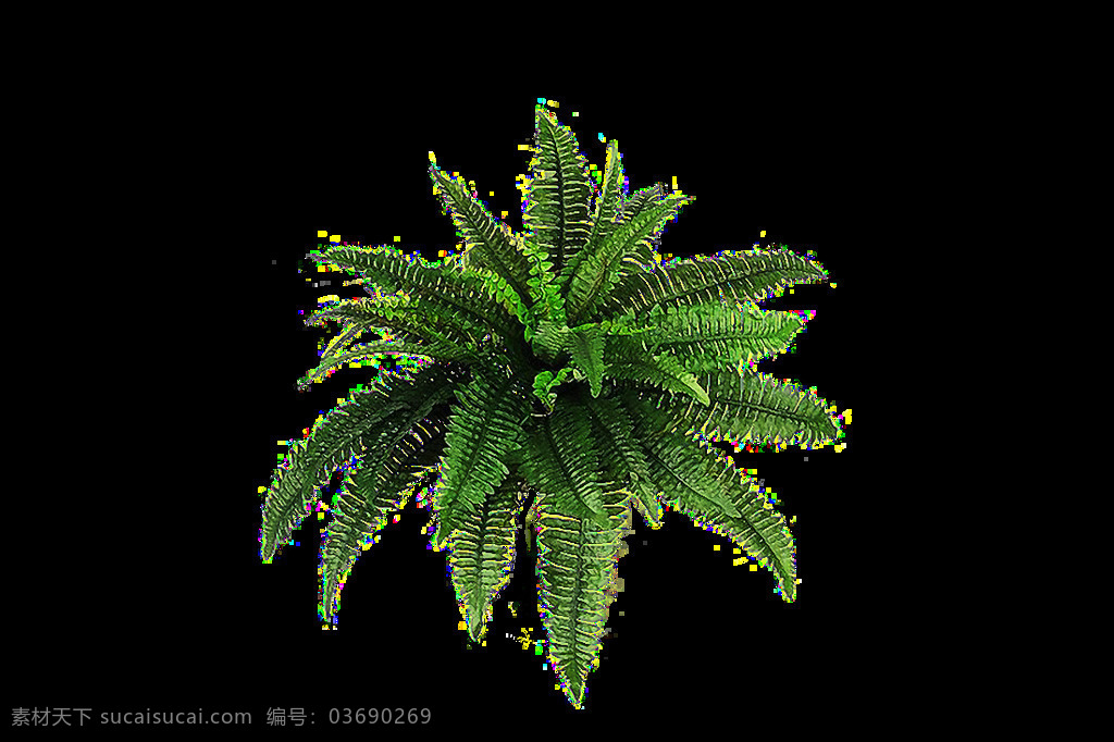 蕨类植物 叶子 免 抠 透明 图 层 蕨类植物叶子 树叶图片 美丽植物图片 植物 大全 大图 唯美 小 清新 手绘植物图片 花卉图片 背景图片 品种 名称