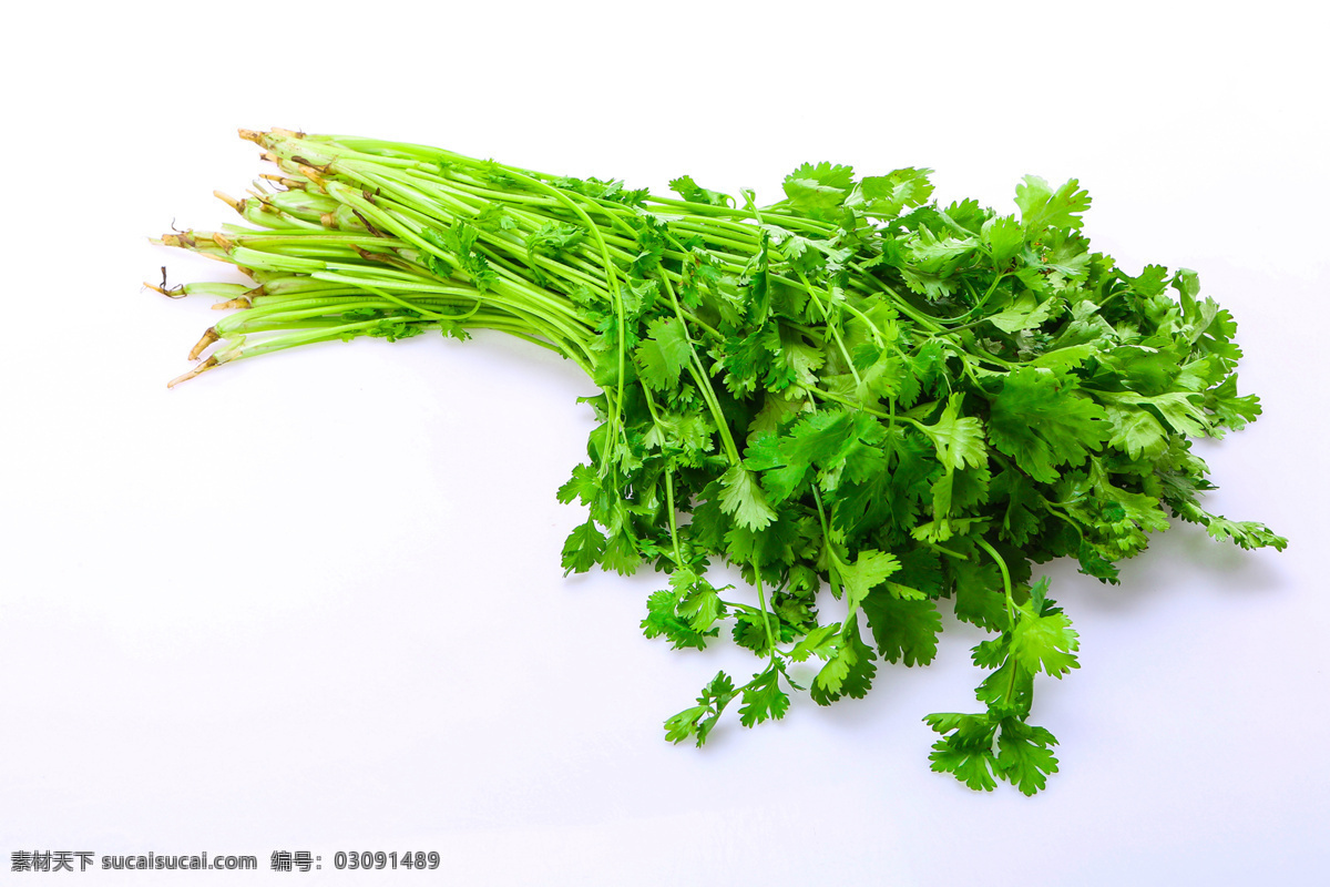 芹菜 高清 蔬菜 水果 食物 生物世界