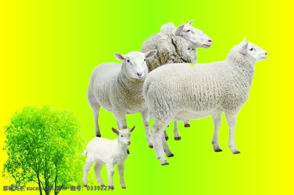 羊 羊羔 山羊 动物 牧羊 放牧 草地上的羊 羊栏 羊圈 喂羊 家畜 畜口 畜牧业 畜牧 羊素材 羊年素材 小羊 绵羊 小绵羊 草地 草原 蓝天白云羊