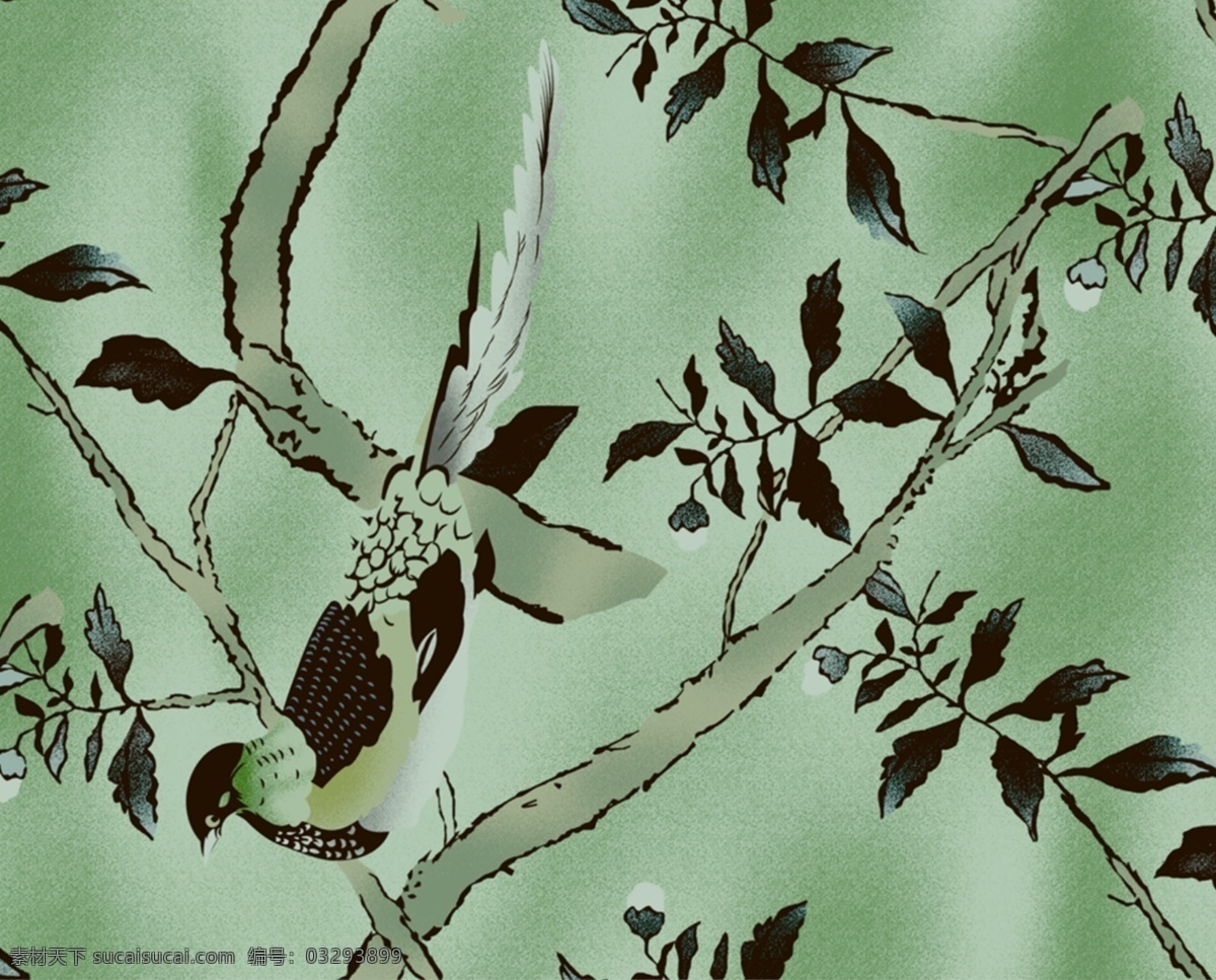 斑鸠 鸟 树枝 bmp 绿色